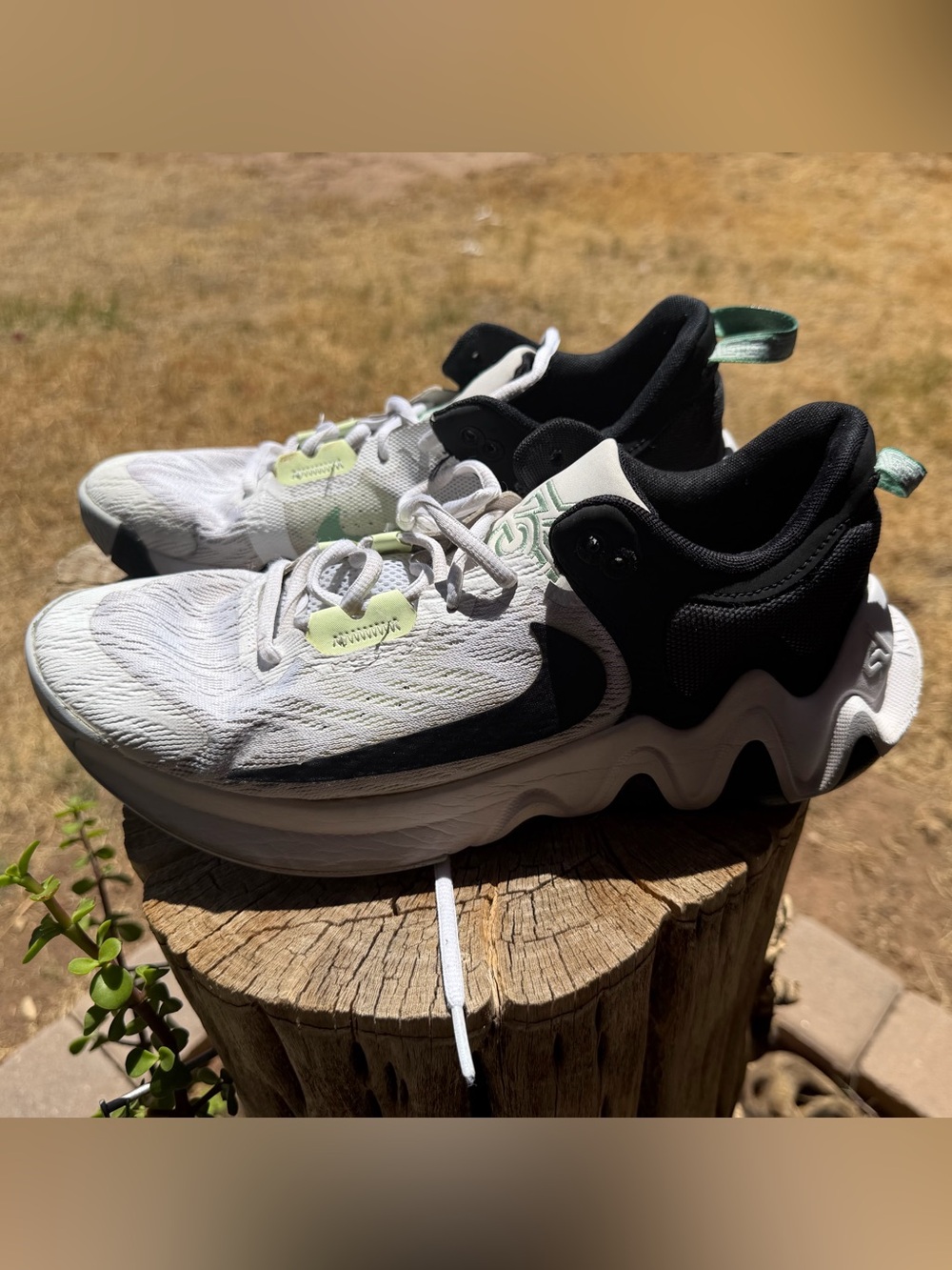 Nike Giannis Immortality 2 basketball shoes